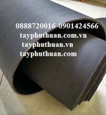 CAO SU BĂNG TẢI CHỊU LỰC