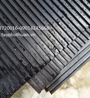 CAO SU MẶT SỌC DỌC MẶT SỌC NGANG