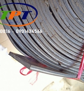 CAO SU 1 LỚP BỐ