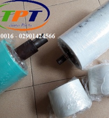 Phục hồi rulo cao su